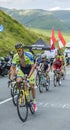 The Cyclist Matteo Tosatto - Tour de France 2014